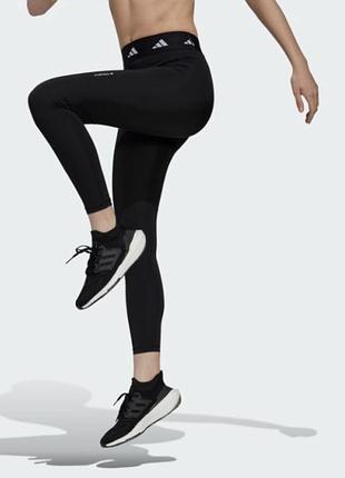 Жіночі лосіни adidas