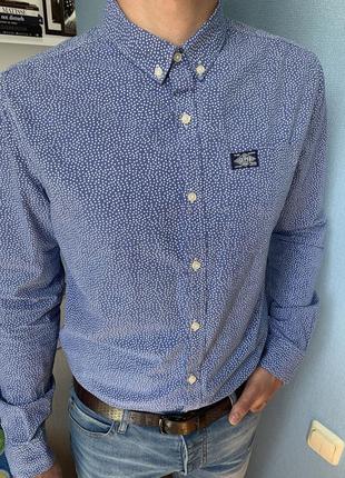 Мужская рубашка superdry в белую точку