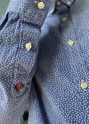 Мужская рубашка superdry в белую точку