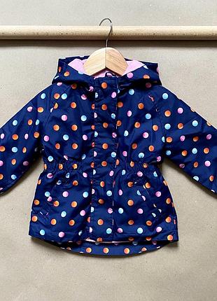 Вітровка дитяча для дівчинки fox bunny на 9–12 місяців | зріст 80 см.