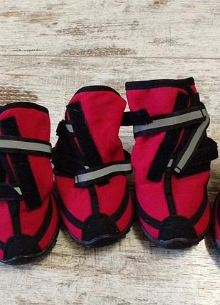 Обувь для собак (ширина лапки 7 см)