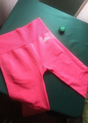 Леггинсы-лосины женские adidas, размер м, цвет персик