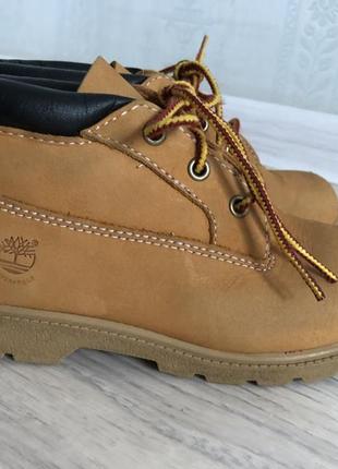 Кожаные деми ботинки timberland{ оригинал},рыжие,коричневые3 фото