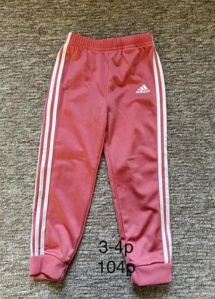 Спортивні штани, на дівчинку, без флісу