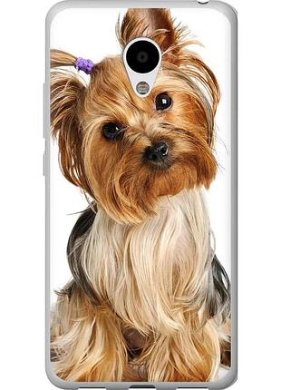Чехол 2d пластиковый на телефон meizu m3 йоркширский терьер с хвостиком "930t-272-58250"