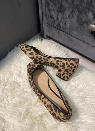 M&s collection  леопардовые  туфли на квадратный устойчивых каблуках