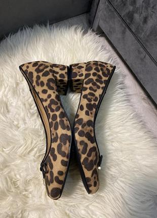 M&s collection  леопардовые  туфли на квадратный устойчивых каблуках7 фото