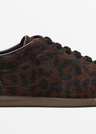 Кросівки massimo dutti 40