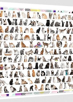 Пазл 208 котів 1000 елементів trefl