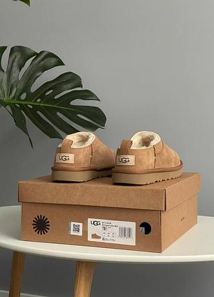Ugg classic micro chestnut 2