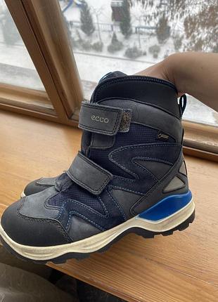 Зимові черевики ecco 2