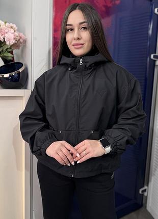 Вітровка біла, чорна