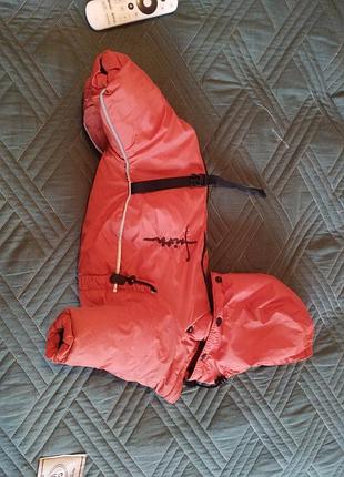 Комбинезон для маленьких собак s