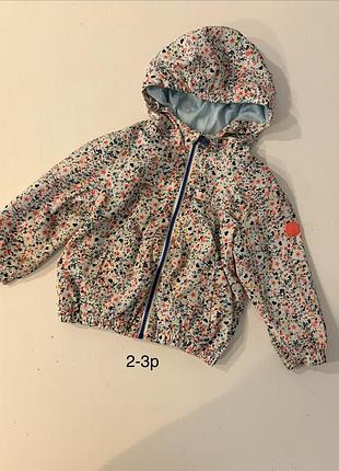 Вітровка 2-3р