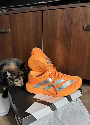 Кросівки adidas adizero evo sl w