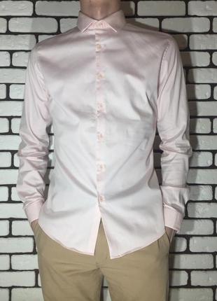 Рожева сорочка topman