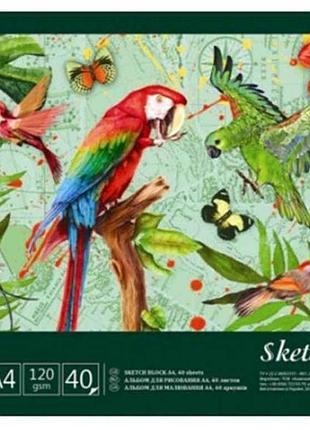 Альбом для малювання, скоба 16арк. 120 г/м a4 аа4216 тропіки тм графіка