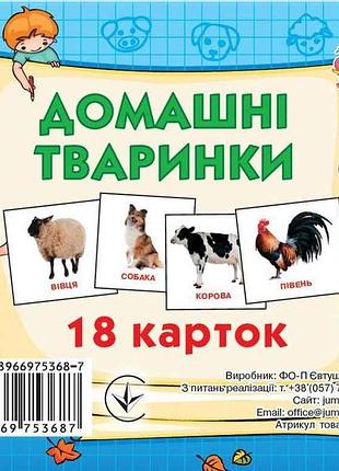 Развивающие карточки мини (18 карточек): домашние животные (у) тм jumbi