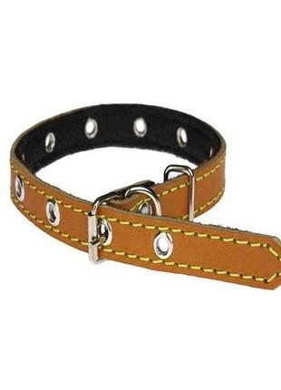 Ошейник 14мм классик кожасинтепон безразмерный, арт.118 тм верный друг