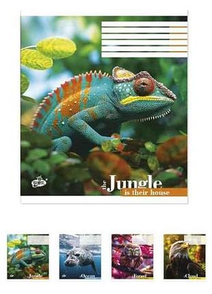 Зошит в клітинку 96арк. 10шт/уп оф.#тв-17 №2455 дика фауна тм бріск