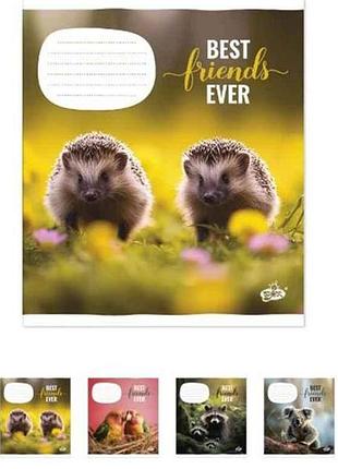 Зошит в клітинку 12арк. 25шт/уп оф.#тв-107 №2417 кращi друзi тм бріск