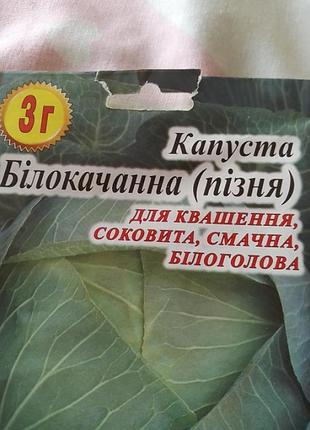 Насіння-лот + подарунок! 2