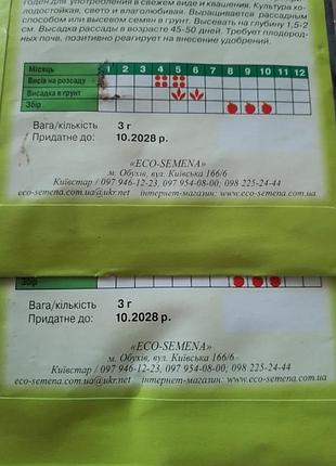 Насіння-лот + подарунок! 5