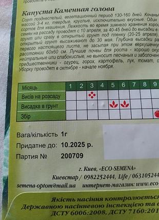 Насіння-лот + подарунок! 6