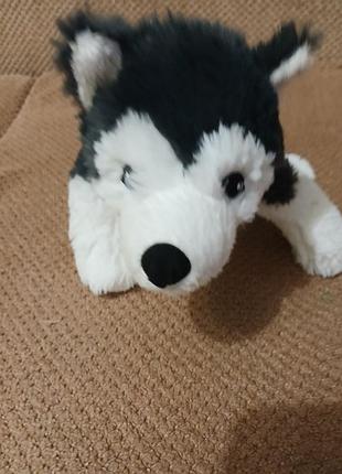 Продам мягкую игрушку хаски 5