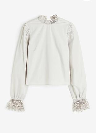 Блуза с акцентной спиной