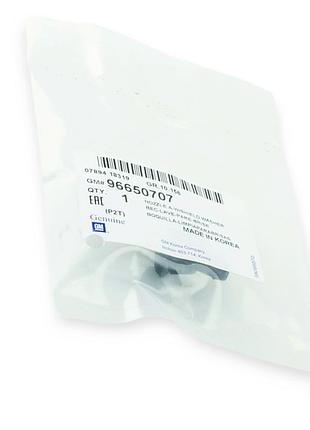 Жиклер омивача aveo (t250) genuine parts