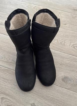 Ugg  сапожки зимові