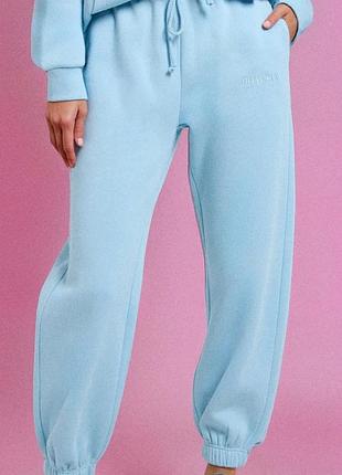 Голубые спортивные штаны джоггеры на флисе р. м, l, xl sinsay