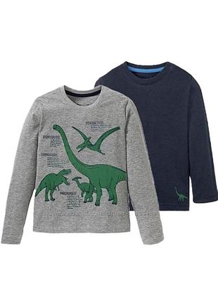 Комплект лонгслівів на хлопчика 2 шт