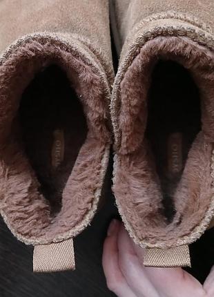 Короткі замшеву угги 4