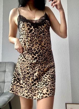 Пеньюар в анімалістичний принт, р-р s