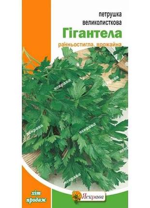 Петрушка листова великолисткова гігантела (20 пачок) 2г тм яскрава