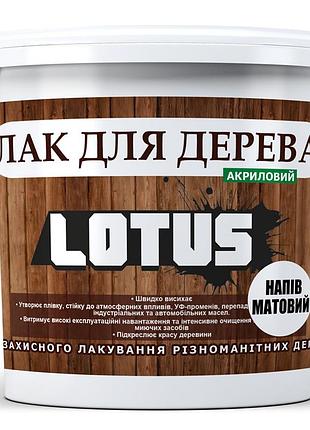 Лак акриловый для дерева lotus полуматовый прозрачный износостойкий универсальный для пола мебели и фасада без запаха 3 л