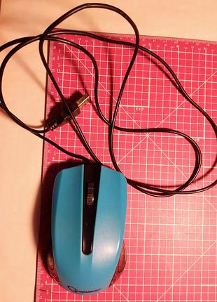 Компьютерная мышка для ноутбука проводная usb черная голубая gembird