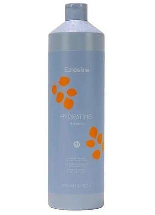 Шампунь для зволоження волосся echosline vegan hydrating, 1000мл