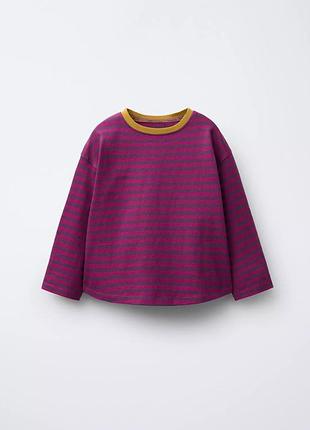 Реглан zara розмір 98/104/110