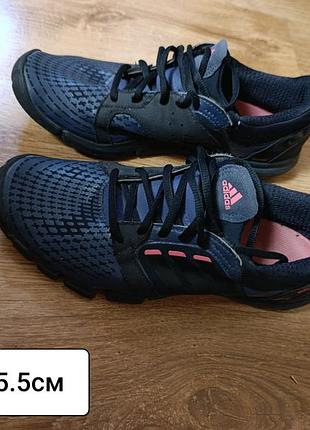 Кросівки adidas trainer