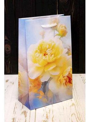 Пакет паперовий подарунковий 26*15,5*8см №пак ср-1057крт тм упаковкин