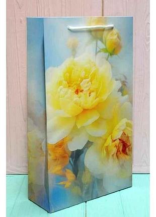 Пакет 40*24*9см подарунковий №пак бв-1057крт тм упаковкин