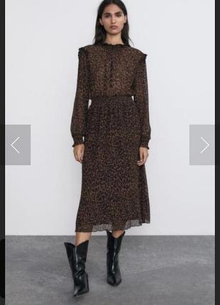 Леопардова сукня плаття міді zara