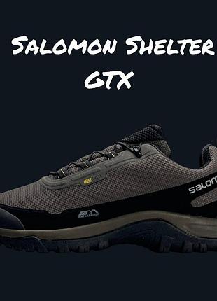 Salomon shelter gtx brown black