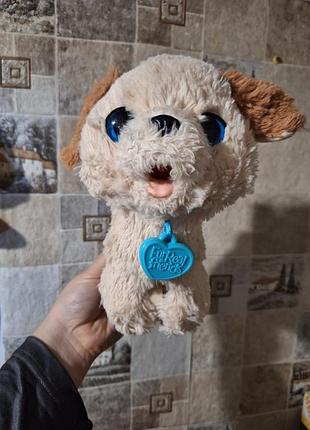 Hasbro furreal friends pax my poopin pup (веселе щенка).