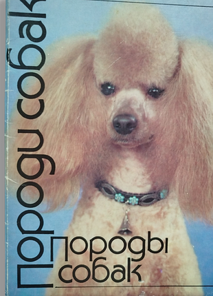 Набор "породы собак", сборник открыток породы собак', открыли породы собак