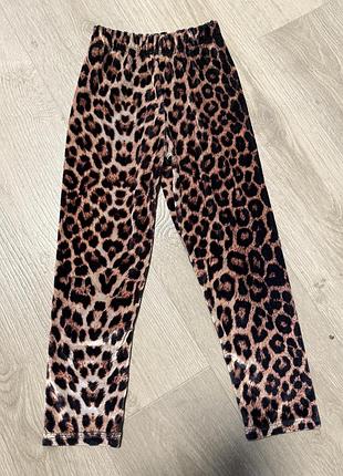 Велюровые леггинсы на девочку