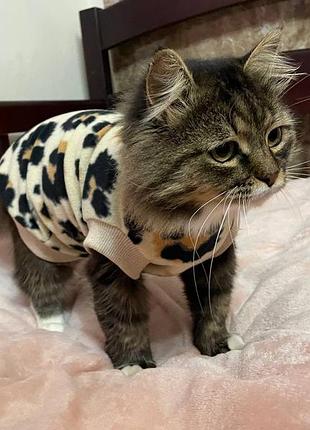 Кофтинка для котика / одяг для тварин